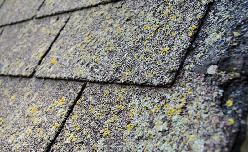 granule loss on roofing