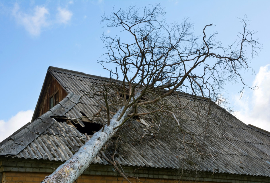 inspect storm damaged roof