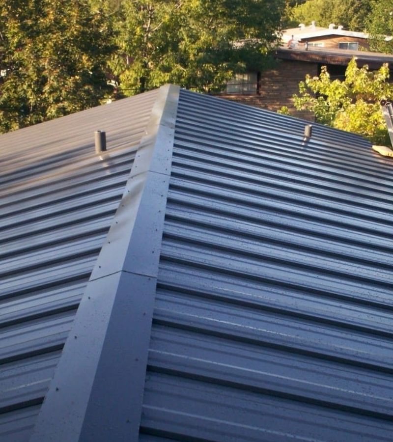 A clean, metallic rooftop with a prominent ridge runs down the center, showcasing evenly spaced ridges and two small vent pipes. The benefits of metal roof over shingles are evident in its sleek appearance. Lush green trees and the roof of a neighboring house can be seen in the background. The sky is clear and bright.