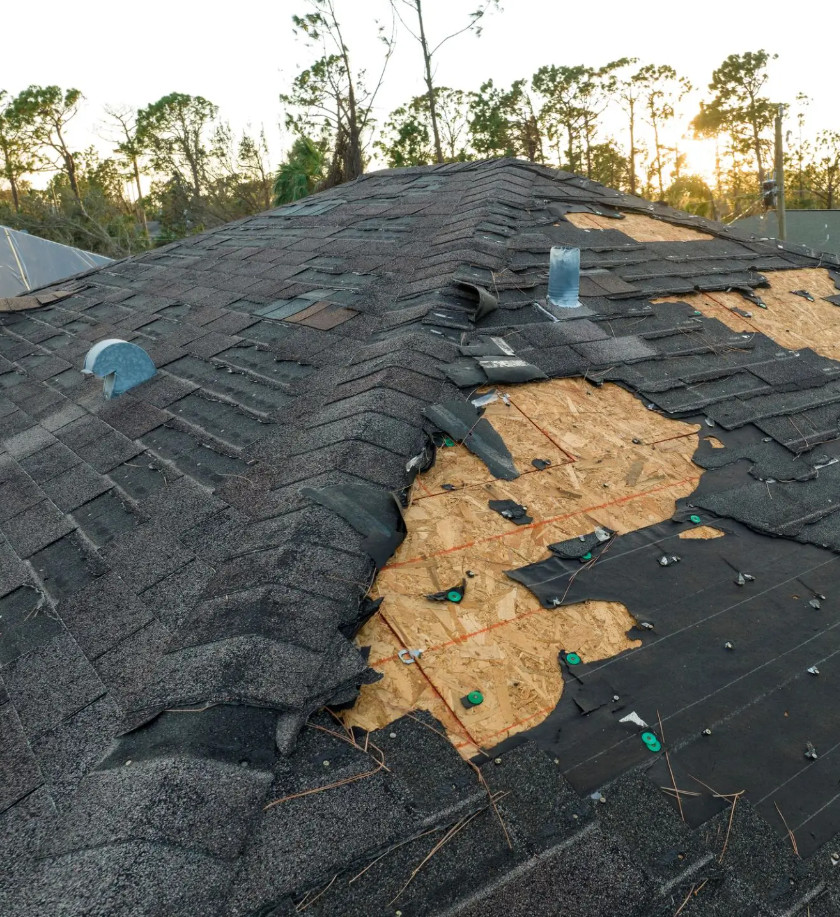 Roofers in Monroe LA