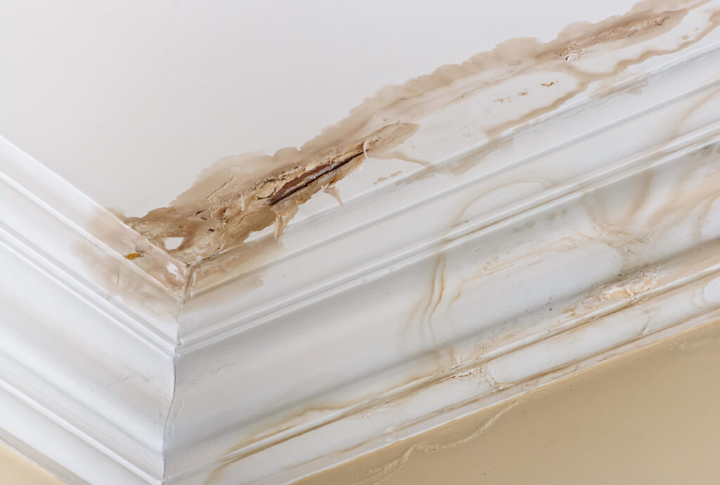 ceiling leaks roof repair