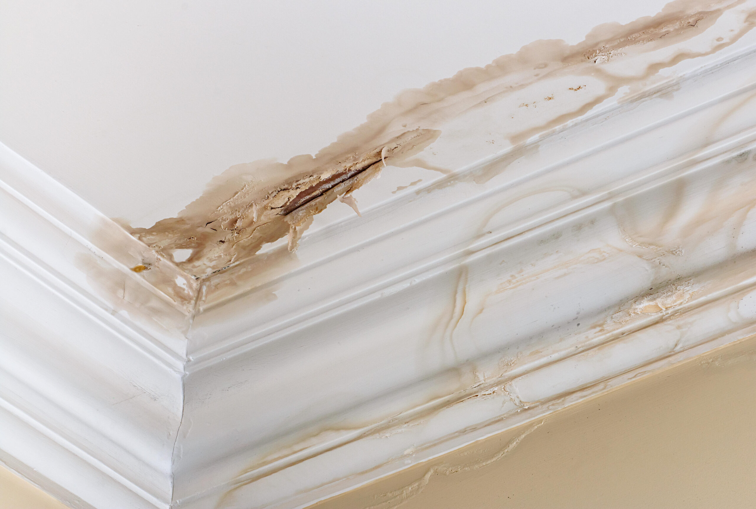 ceiling leaks roof repair