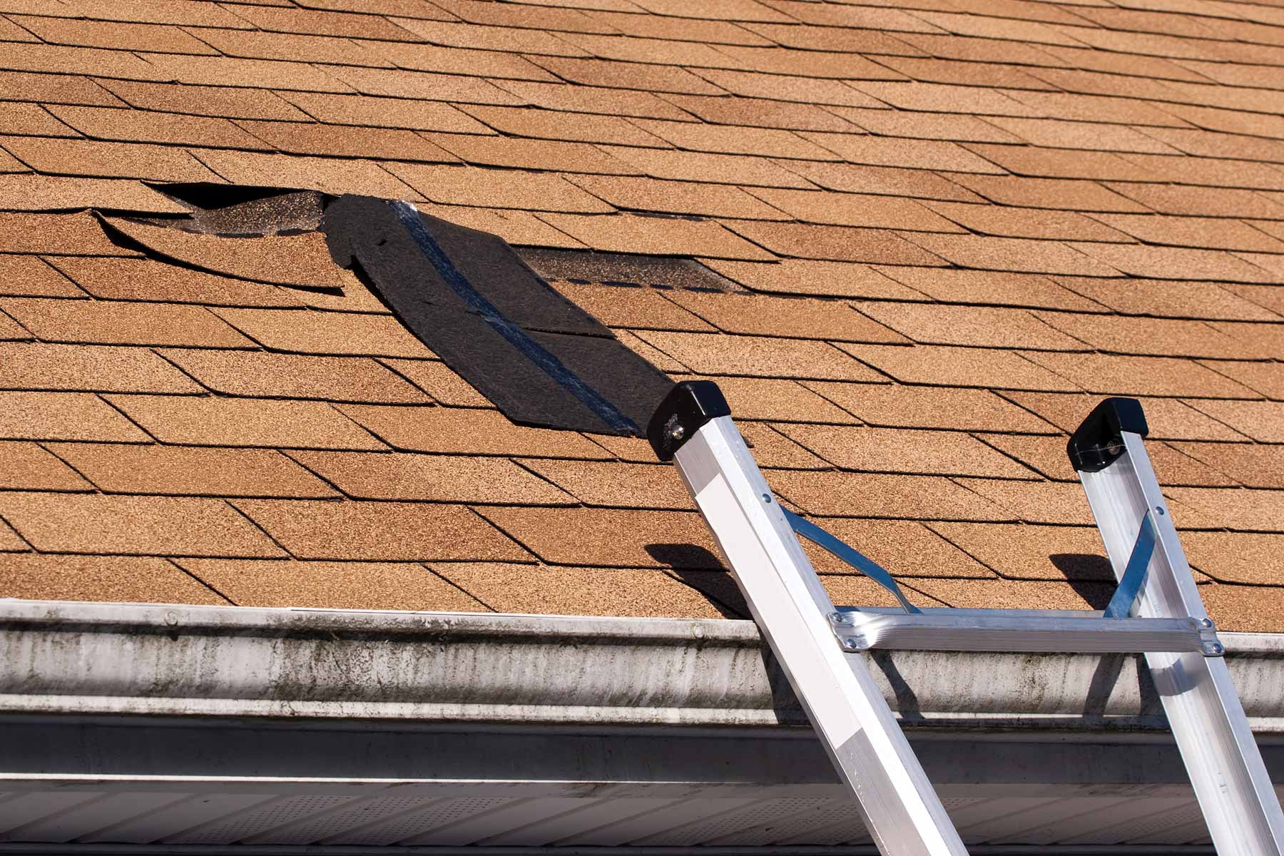 Shingle Roof Repair