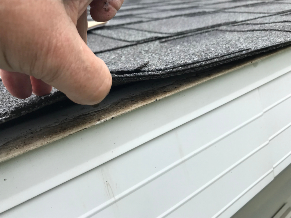 benefits of regular roof inspections