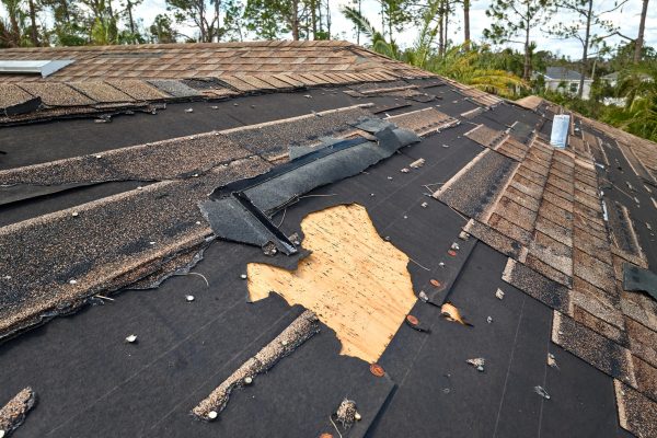 fix a leak in your roof